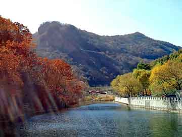 大三巴一肖二码最准，勾海峰